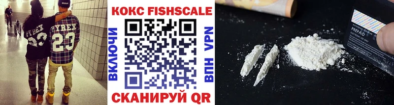 darknet наркотические препараты  Соликамск  COCAIN FishScale  kraken зеркало 