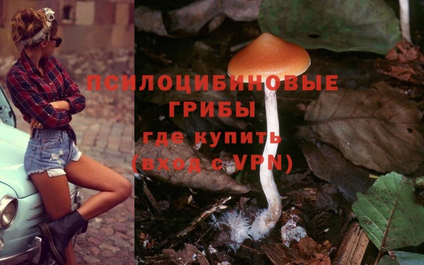 хмурый Алзамай