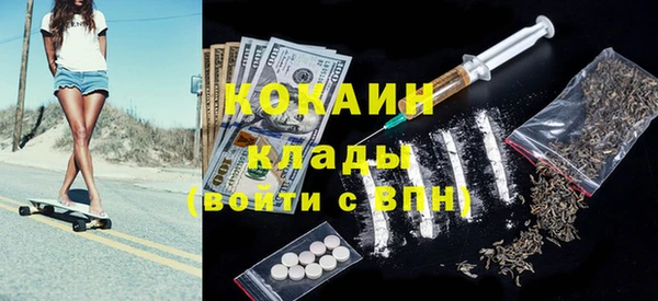 хмурый Алзамай