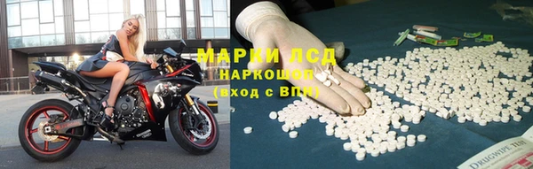 хмурый Алзамай