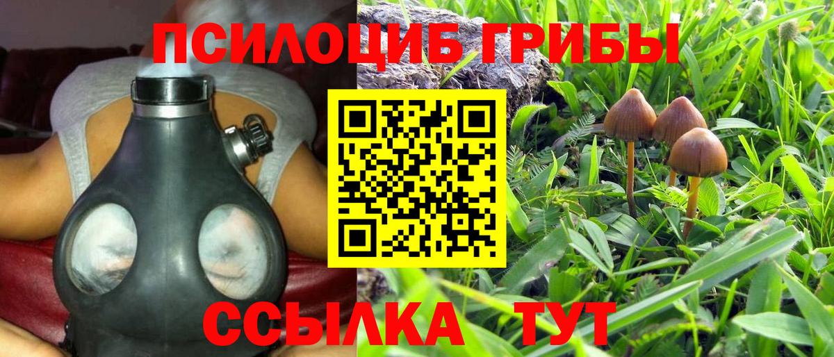 Галлюциногенные грибы Cubensis Соликамск