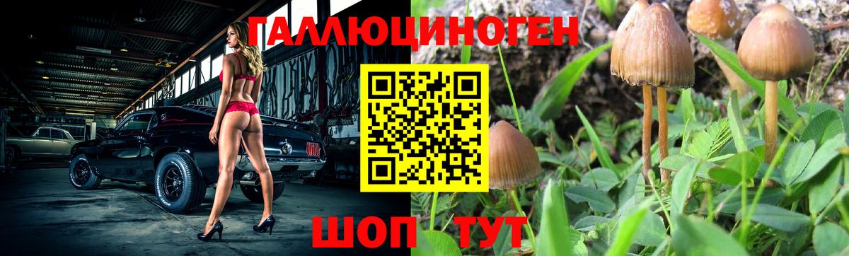 Псилоцибиновые грибы ЛСД  Вход с VPN  Соликамск 