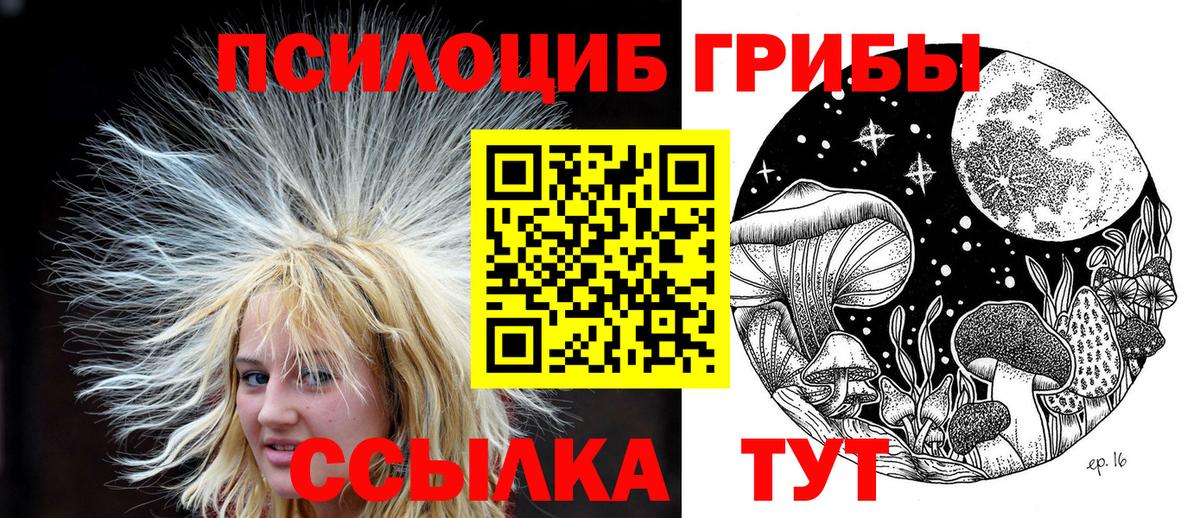 Псилоцибиновые грибы мицелий Соликамск