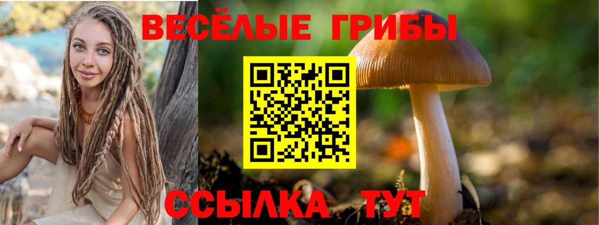 Галлюциногенные грибы MAGIC MUSHROOMS  Псилоцибиновые грибы Cubensis  Вход с VPN  Соликамск 